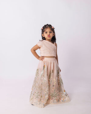 Peach Organza Lehenga Set