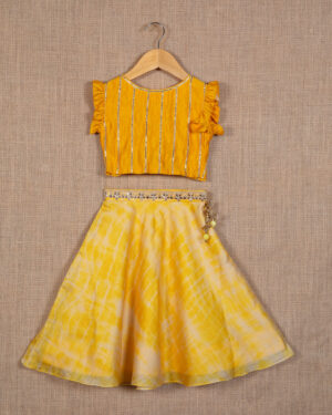 Tie and Dye Lehenga Set
