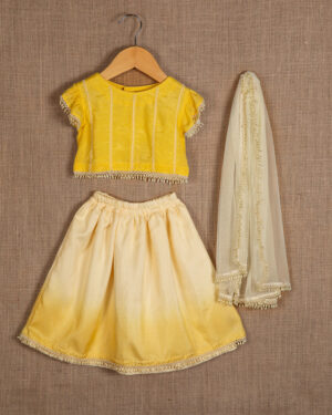 Yellow Embroidered Lehenga Set