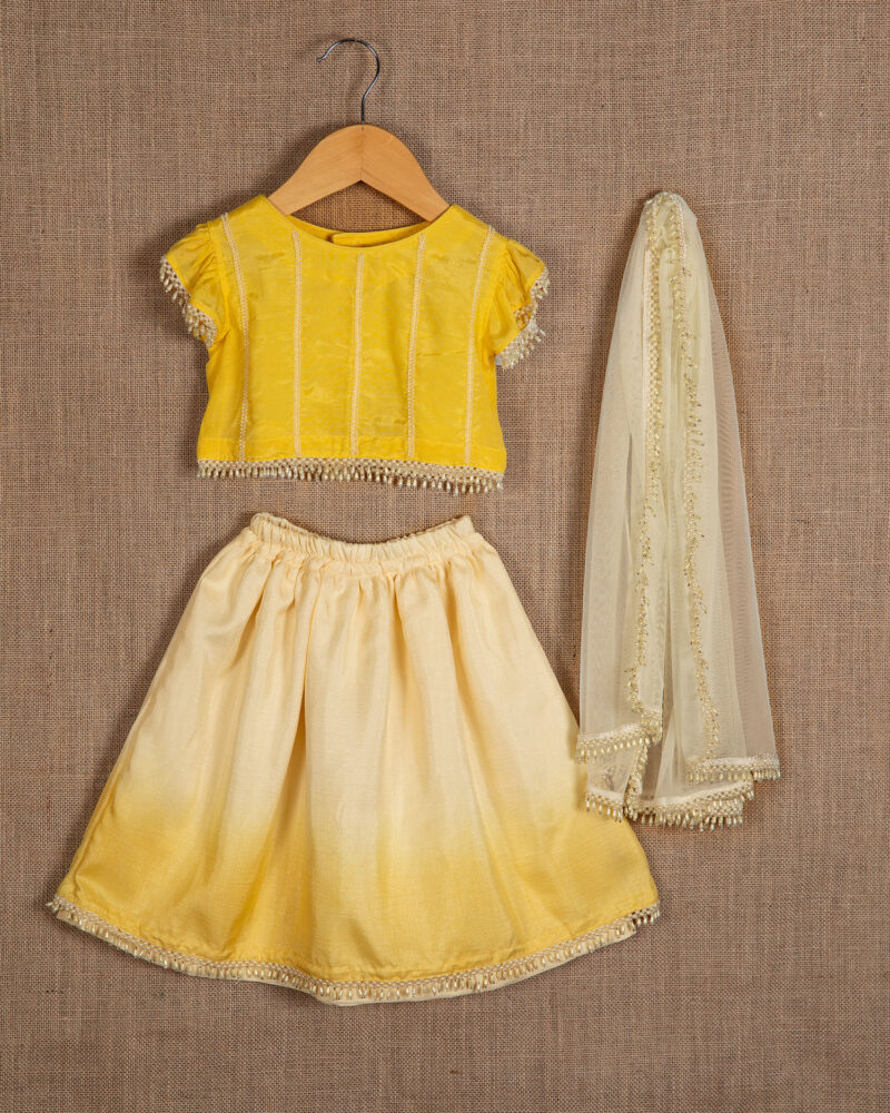 Yellow Embroidered Lehenga Set