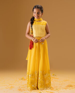 Lotus Gota Embroidered Lehenga Set