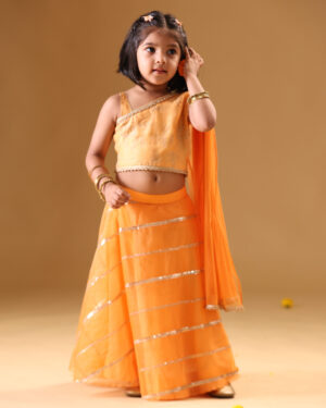 Orange Organza Lehenga With Zari Embroidred Top