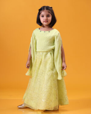 Green Organza Lehenga Set